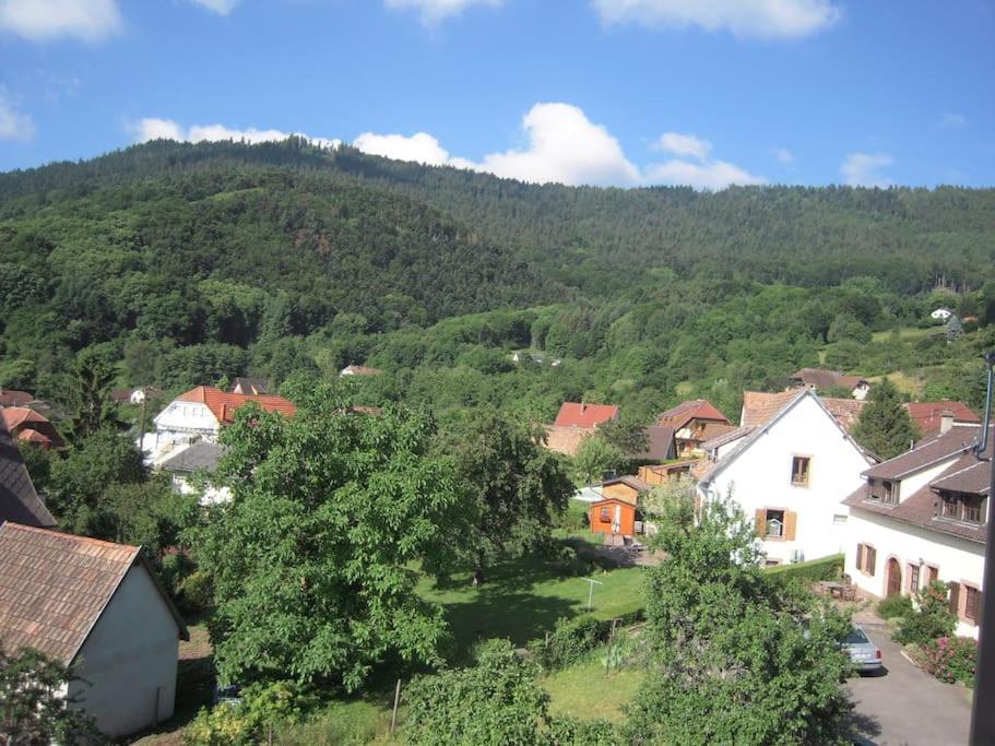 Bel De Charme De 70 M2 Thannenkirch